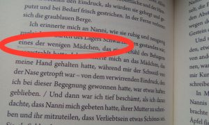 Relativpronomen Bezug