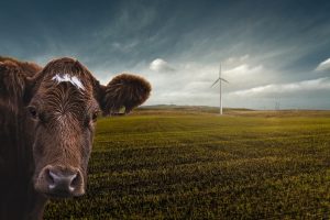Dunkelflaute ist die schönste Wortschöpfung seit langem