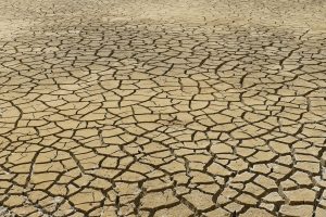 Klimawandel ist als Begriff im Wandel