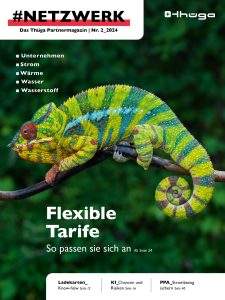 Abbildung vom Cover mit Chamäleon